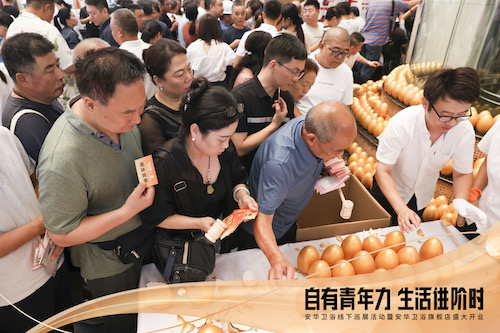 ���ٵ羺�������