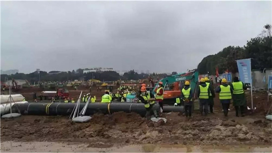 ���ٵ羺�������