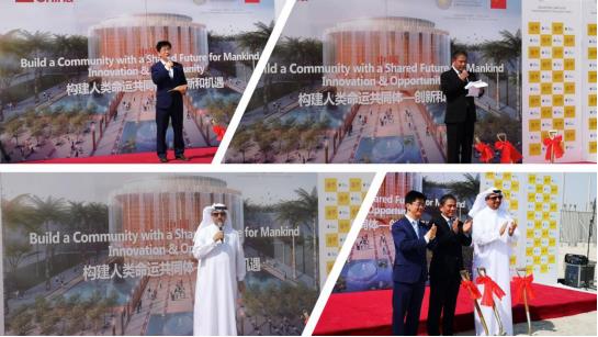 ���ٵ羺�������