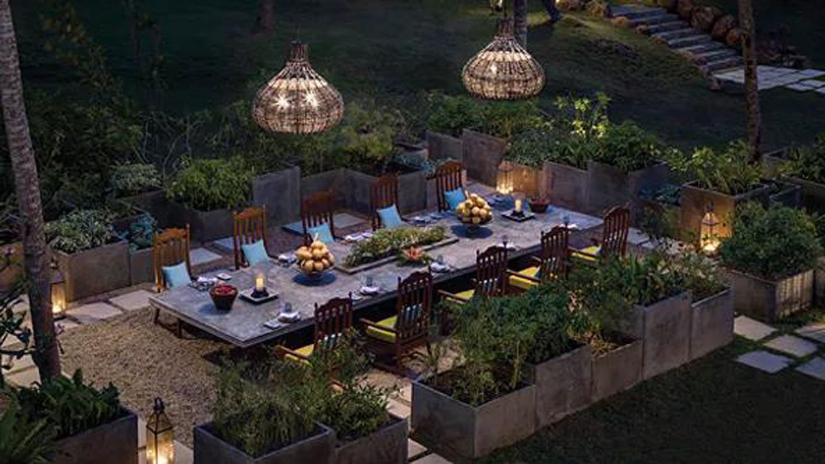 ���ٵ羺�������