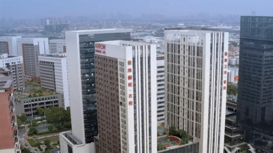 ���ٵ羺�������