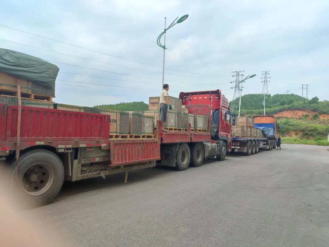 ���ٵ羺�������