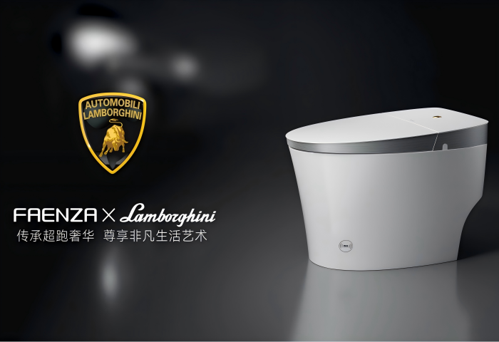 ���ٵ羺�������