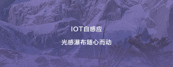 ���ٵ羺�������